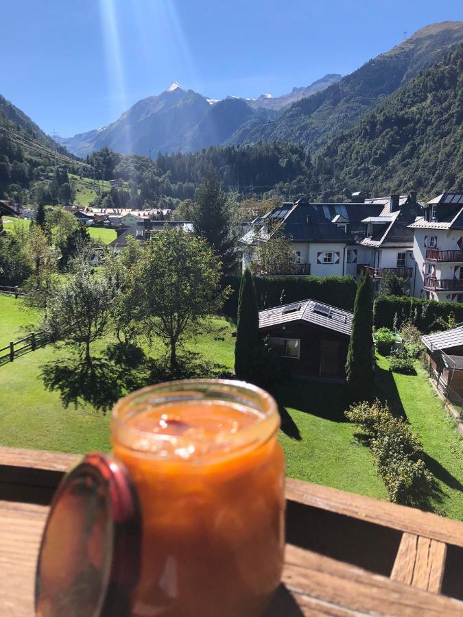 Pension Monika, Your B&B Including Summercard Kaprun Exterior photo